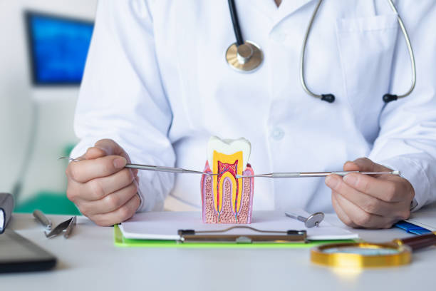 Best Emergency Care for Gum Disease in Bothell West, WA